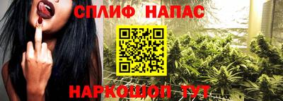 стафф Ставрополь