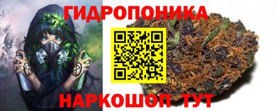 стафф Ставрополь
